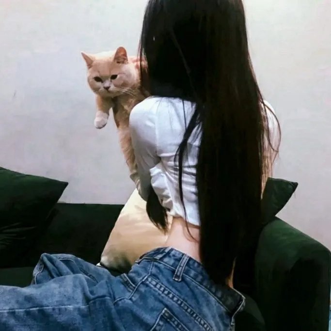 你好,再见